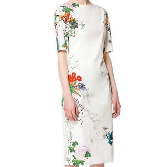 zara knee length dress